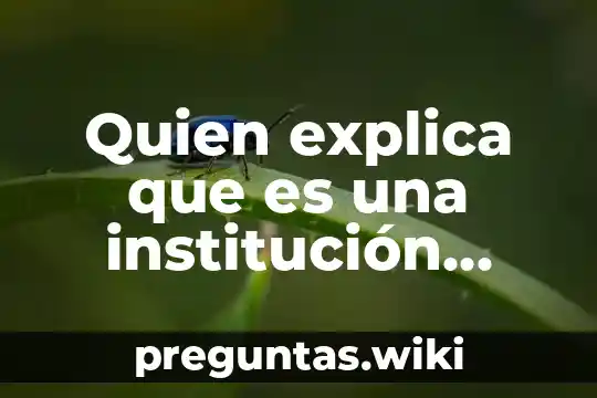 Quien explica que es una institución social