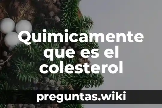 Quimicamente que es el colesterol