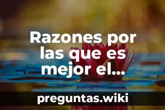 Razones por las que es mejor el invierno