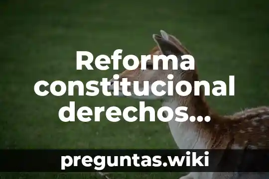 Reforma constitucional derechos humanos que es