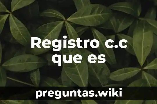 Registro c.c que es