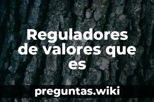 Reguladores de valores que es