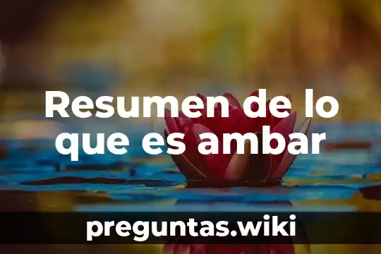 Resumen de lo que es ambar