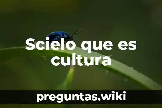 Scielo que es cultura