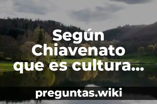 Según Chiavenato que es cultura organizacional