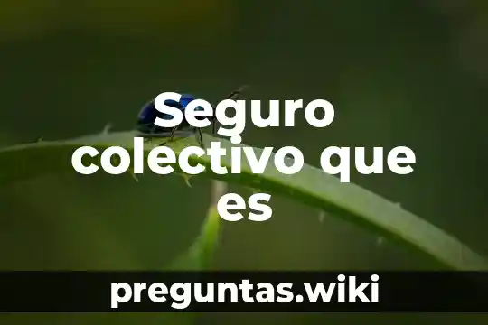 Seguro colectivo que es