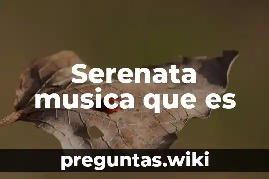 Serenata musica que es