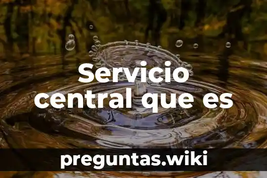 Servicio central que es