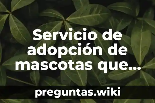 Servicio de adopción de mascotas que es
