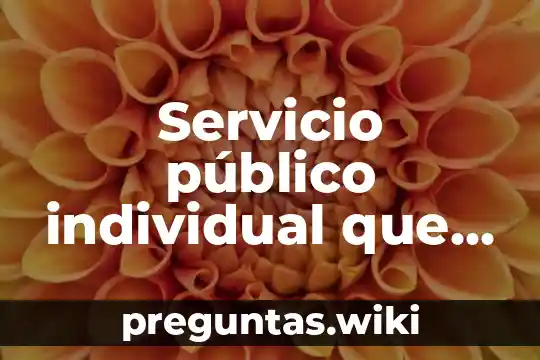 Servicio público individual que es