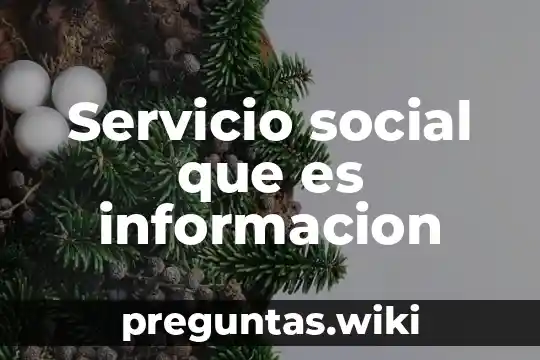 Servicio social que es informacion