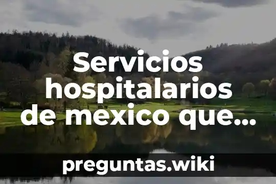 Servicios hospitalarios de mexico que es