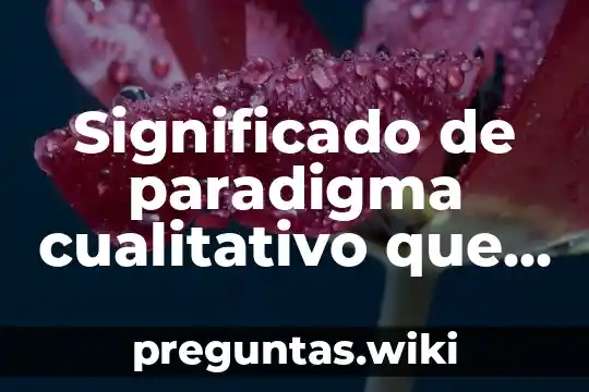 Significado de paradigma cualitativo que es concepto y definicion
