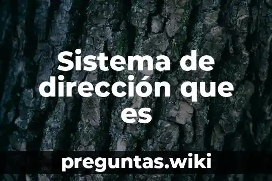 Sistema de dirección que es