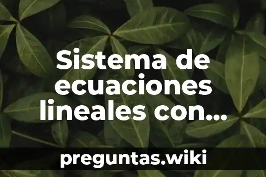 Sistema de ecuaciones lineales con dos incógnitas que es