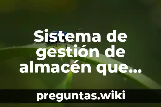 Sistema de gestión de almacén que es
