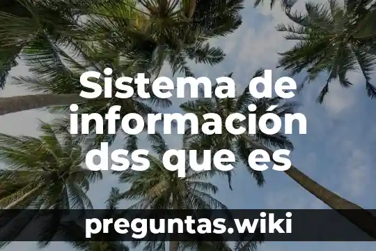 Sistema de información dss que es