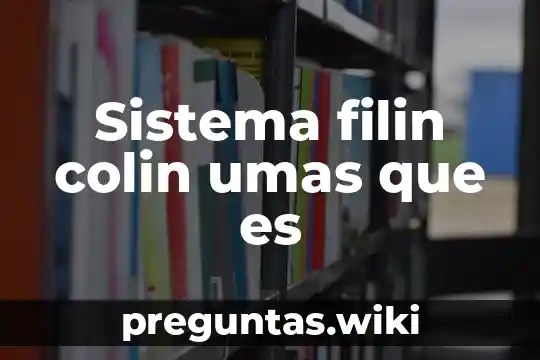 Sistema filin colin umas que es