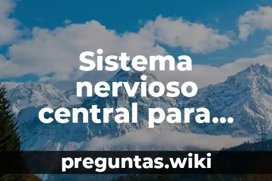 Sistema nervioso central para que es