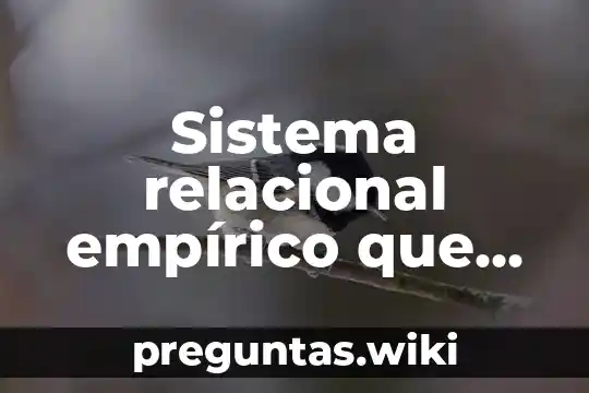Sistema relacional empírico que es