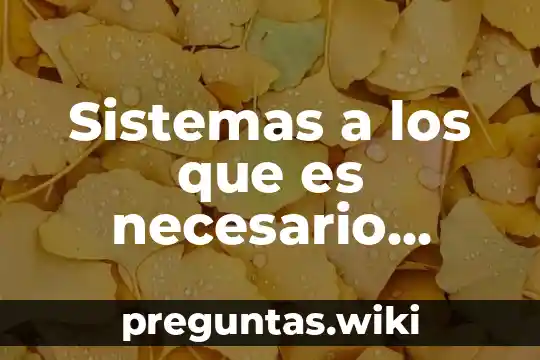Sistemas a los que es necesario brindarles mantenimiento