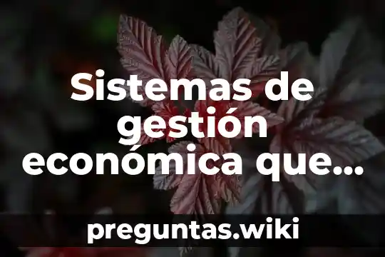 Sistemas de gestión económica que es