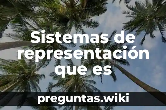 Sistemas de representación que es