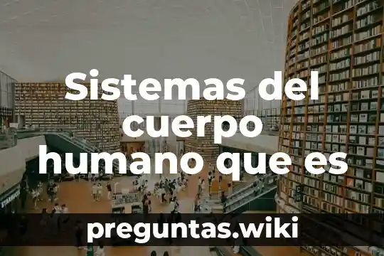 Sistemas del cuerpo humano que es