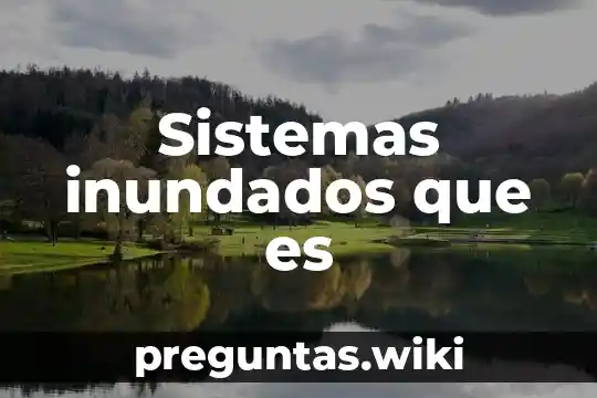 Sistemas inundados que es