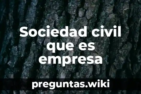 Sociedad civil que es empresa
