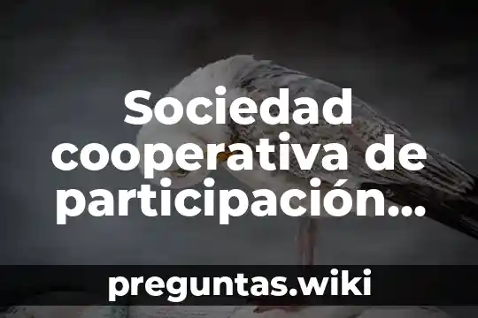 Sociedad cooperativa de participación estatal qué es