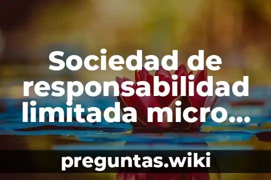 Sociedad de responsabilidad limitada micro industrial que es