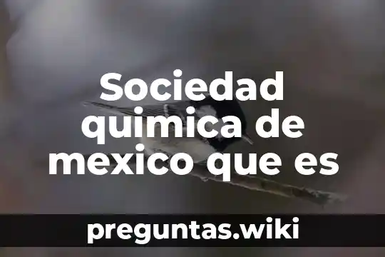 Sociedad quimica de mexico que es