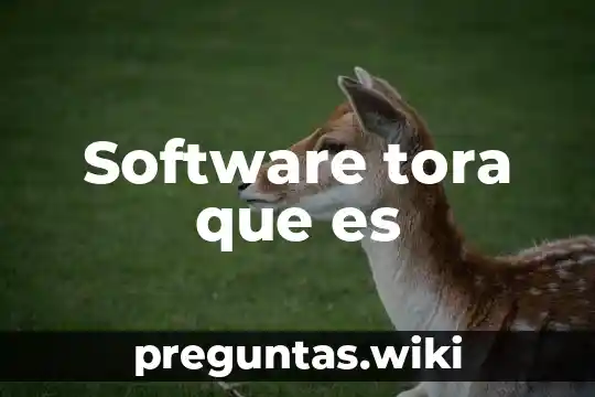 Software tora que es