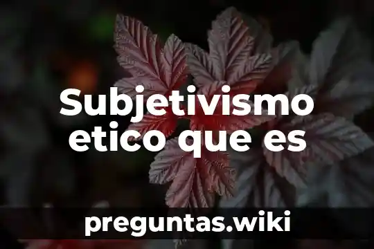 Subjetivismo etico que es