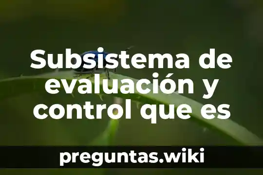 Subsistema de evaluación y control que es