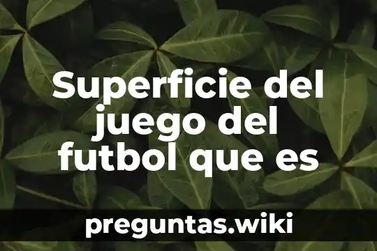Superficie del juego del futbol que es