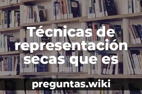Técnicas de representación secas que es