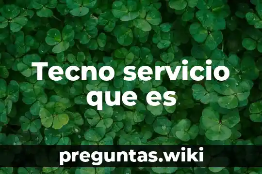 Tecno servicio que es