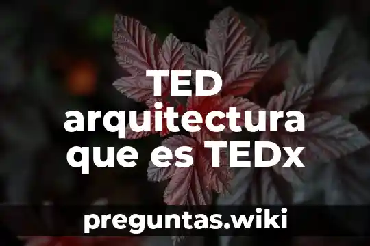 TED arquitectura que es TEDx