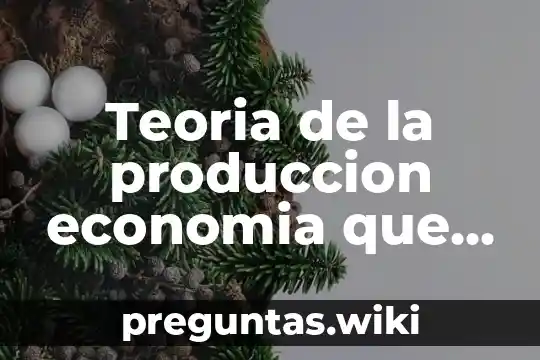 Teoria de la produccion economia que es