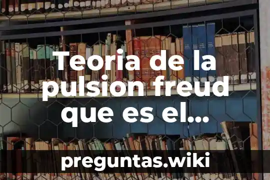 Teoria de la pulsion freud que es el impetu