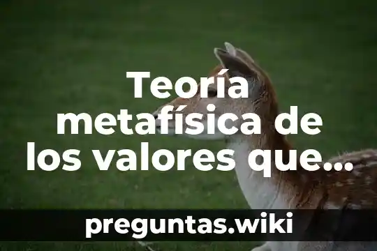 Teoría metafísica de los valores que es