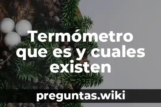 Termómetro que es y cuales existen