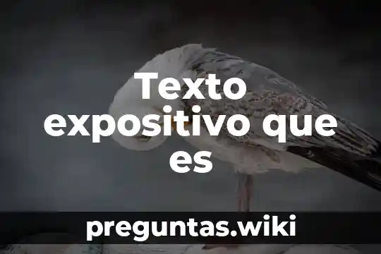 Texto expositivo que es