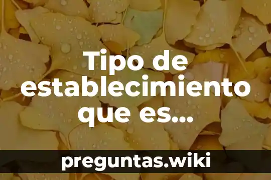 Tipo de establecimiento que es movistar