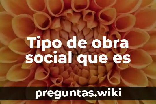 Tipo de obra social que es
