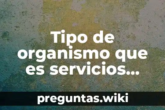 Tipo de organismo que es servicios logísticos marítimos JUMAR S.C