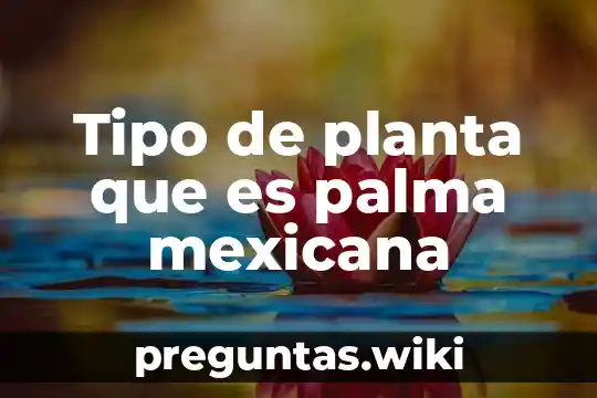 Tipo de planta que es palma mexicana