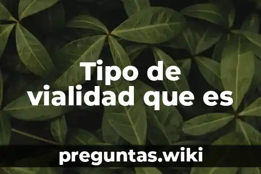 Tipo de vialidad que es